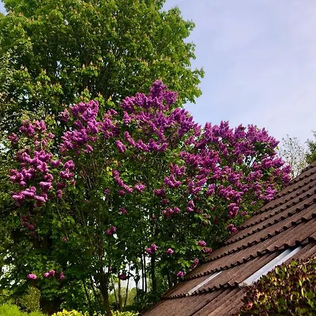 Διαμέρισμα Naturparadies In