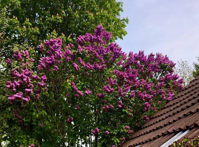 Lejlighed Naturparadies In